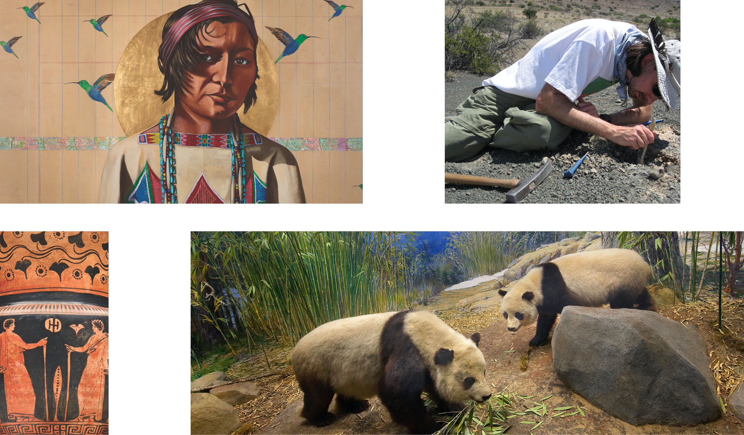 Divider image featuring various artifacts and a scientist in the field 