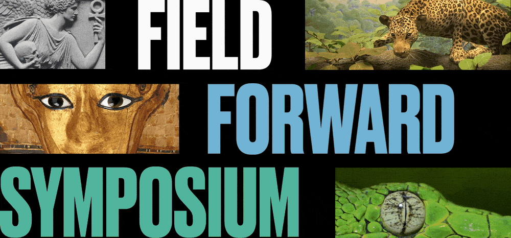 Animated image of various Field Museum events, collections and other showcases for the 2021 Annual Gala